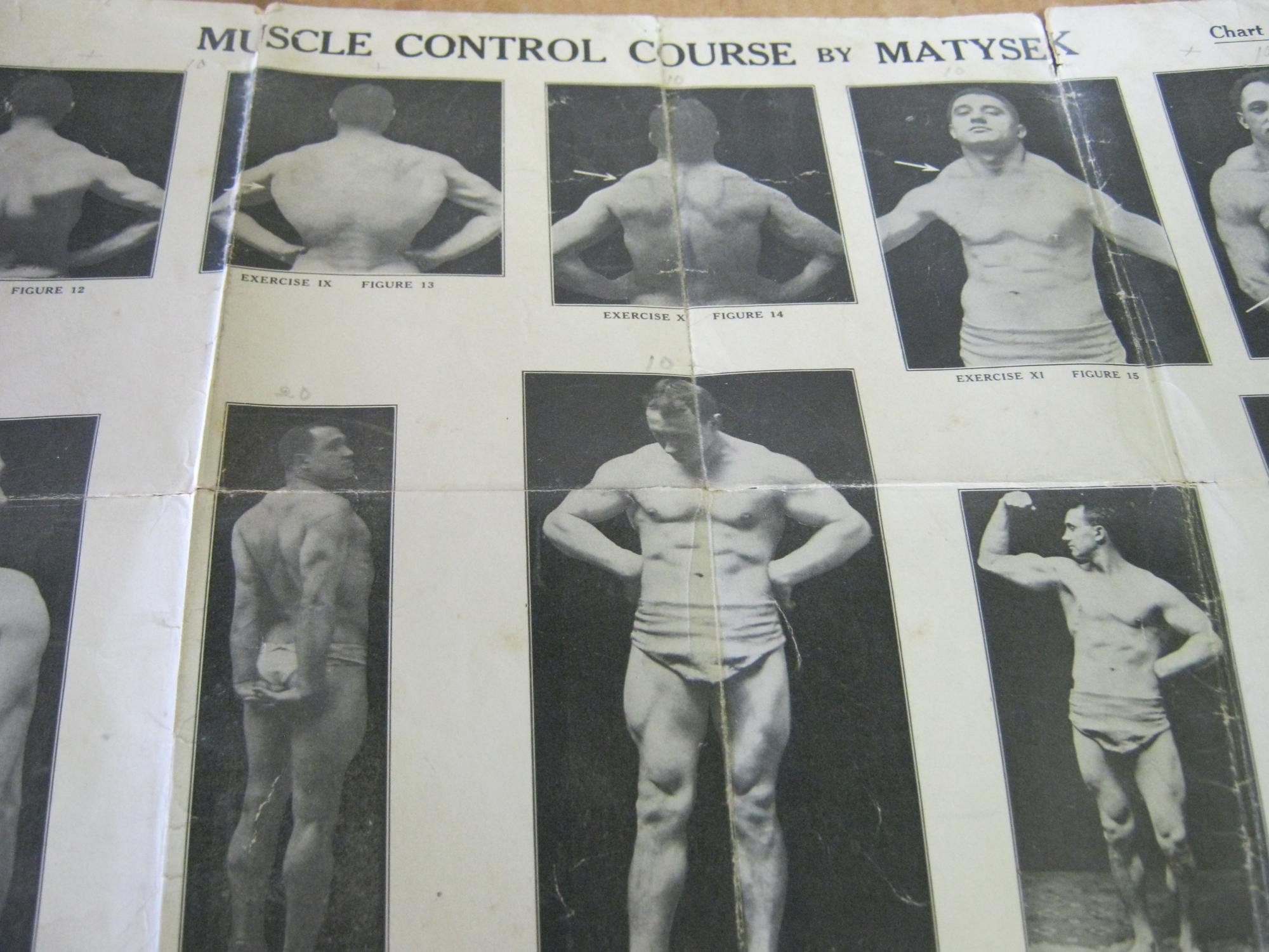 Muscle Control Basics