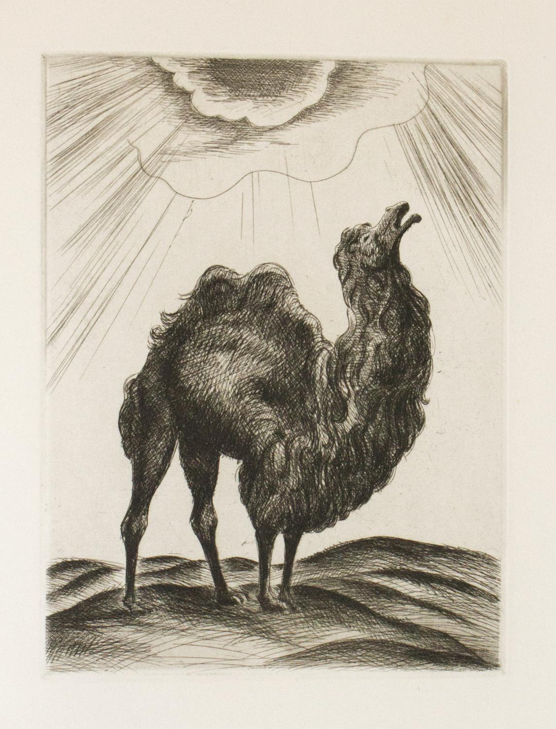 Les Fables d'Esope phrygien, enrichies de quatrains à la fin de chaque ...