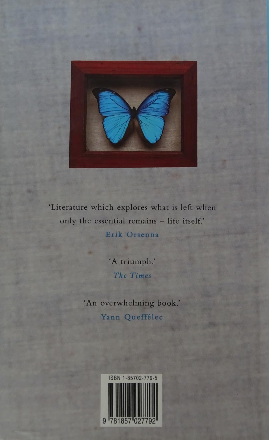 book review of the diving bell and butterfly