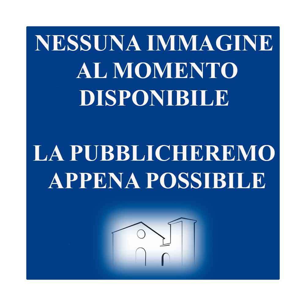 Abebooks Presunta industria litica della "Pebble Culture" nei conglomerati del Calabriano superiore del bolognese