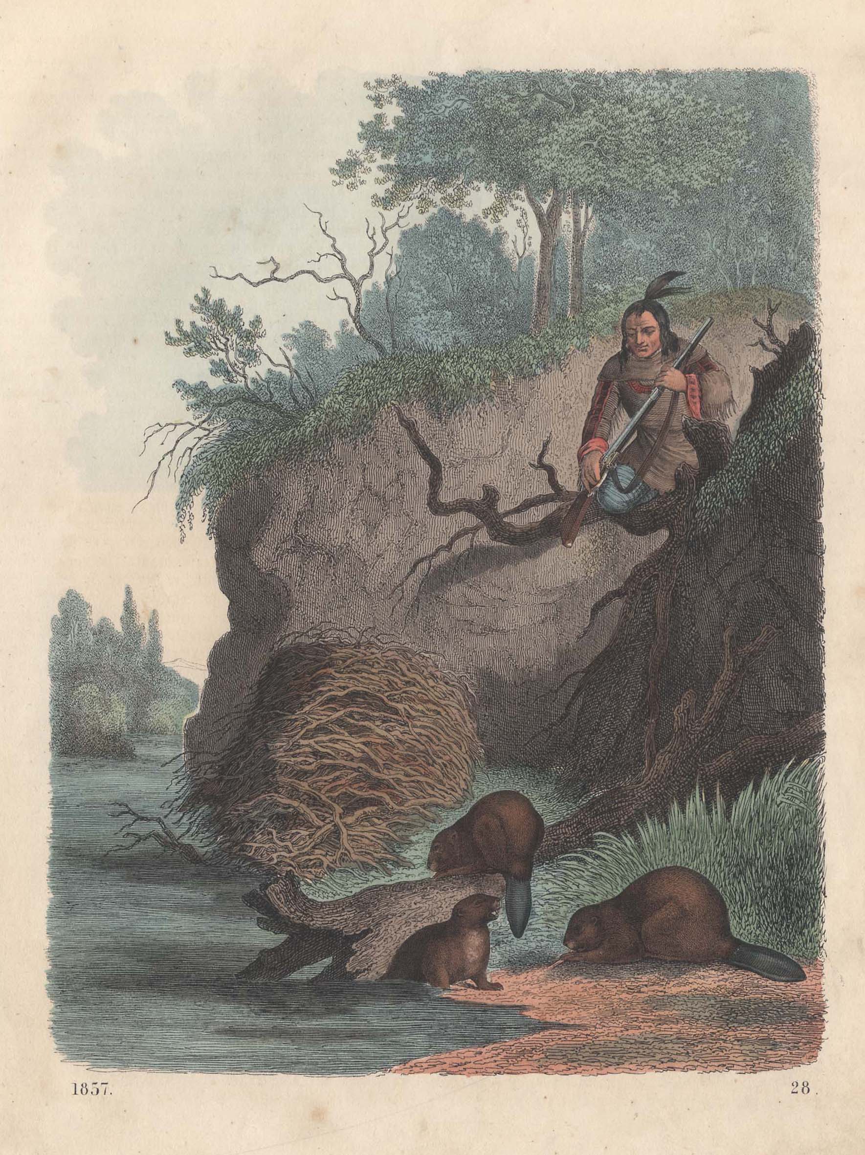 Indianer Mit Gewehr Der Biber Am Ufer Beobachtet Von Jagd Biberjagd Kunst Nbsp Nbsp Grafik Nbsp Nbsp Poster Antiquariat Nikolaus Struck