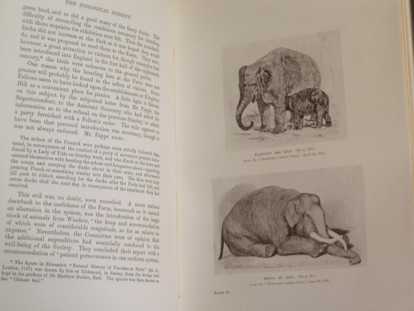 The Zoological Society of London: A Sketch of its Foundation and ...