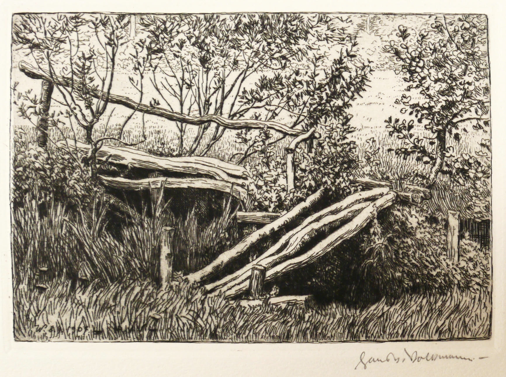 Volkmann, Hans Richard von. Verwachsener Steg von Hans Richard von