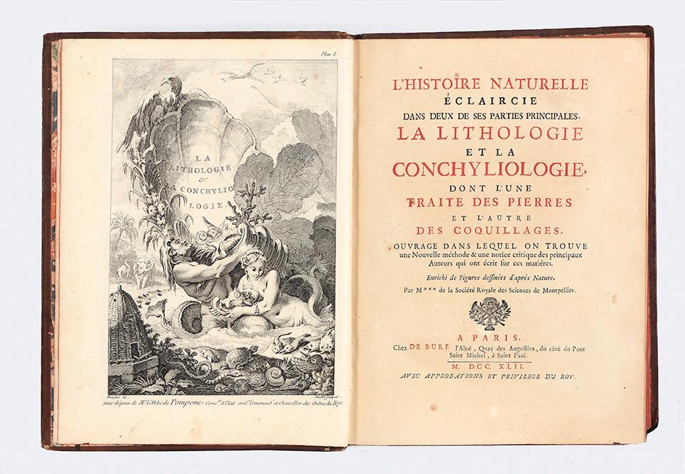 L Histoire Naturelle Eclaircie Dans Deux De Ses Parties Principales La Lithologie Et La Conchyliologie Dont L Une Traite Des Pierres Et L Autre Des Coquillages Ouvrage Dans Lequel On Trouve Une Nouvelle Methode L Histoire Naturelle Eclaircie Dans Deux De Ses Parties Principales La Lithologie Et La Conchyliologie Dont L Une Traite Des Pierres Et L Autre Des Coquillages Ouvrage Dans Lequel On Trouve Une Nouvelle Methode