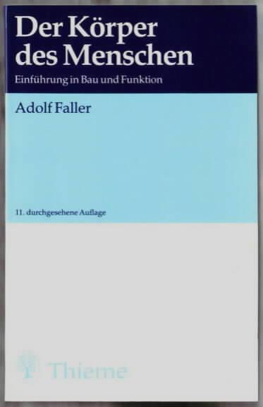 Der Körper des Menschen : Einführung in Bau und Funktion Adolf Faller, Abb. von G. Spitzer - Faller, Adolf