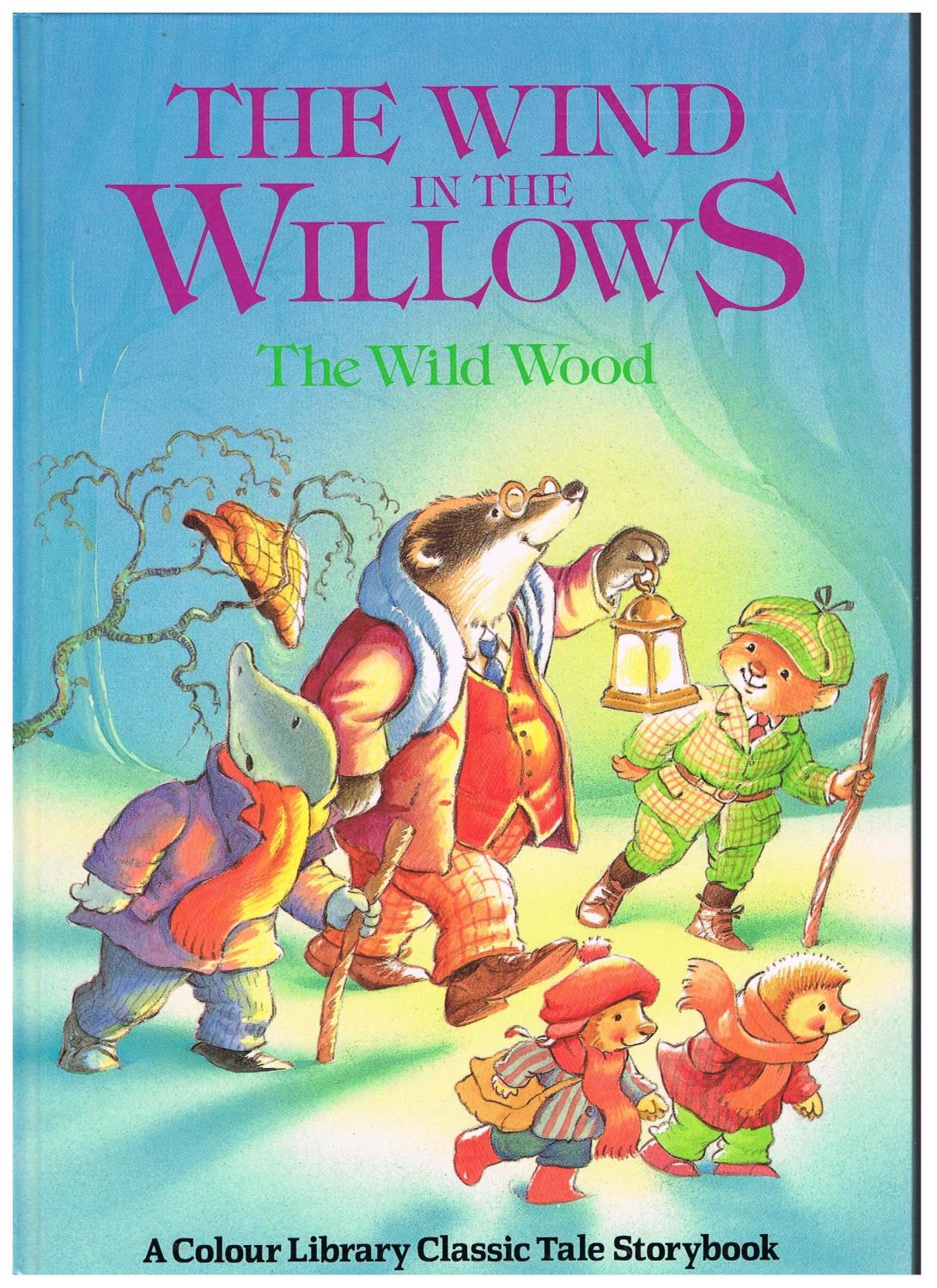 THE WIND IN THE WILLOWS - THE WILD WOOD - Anne McKie