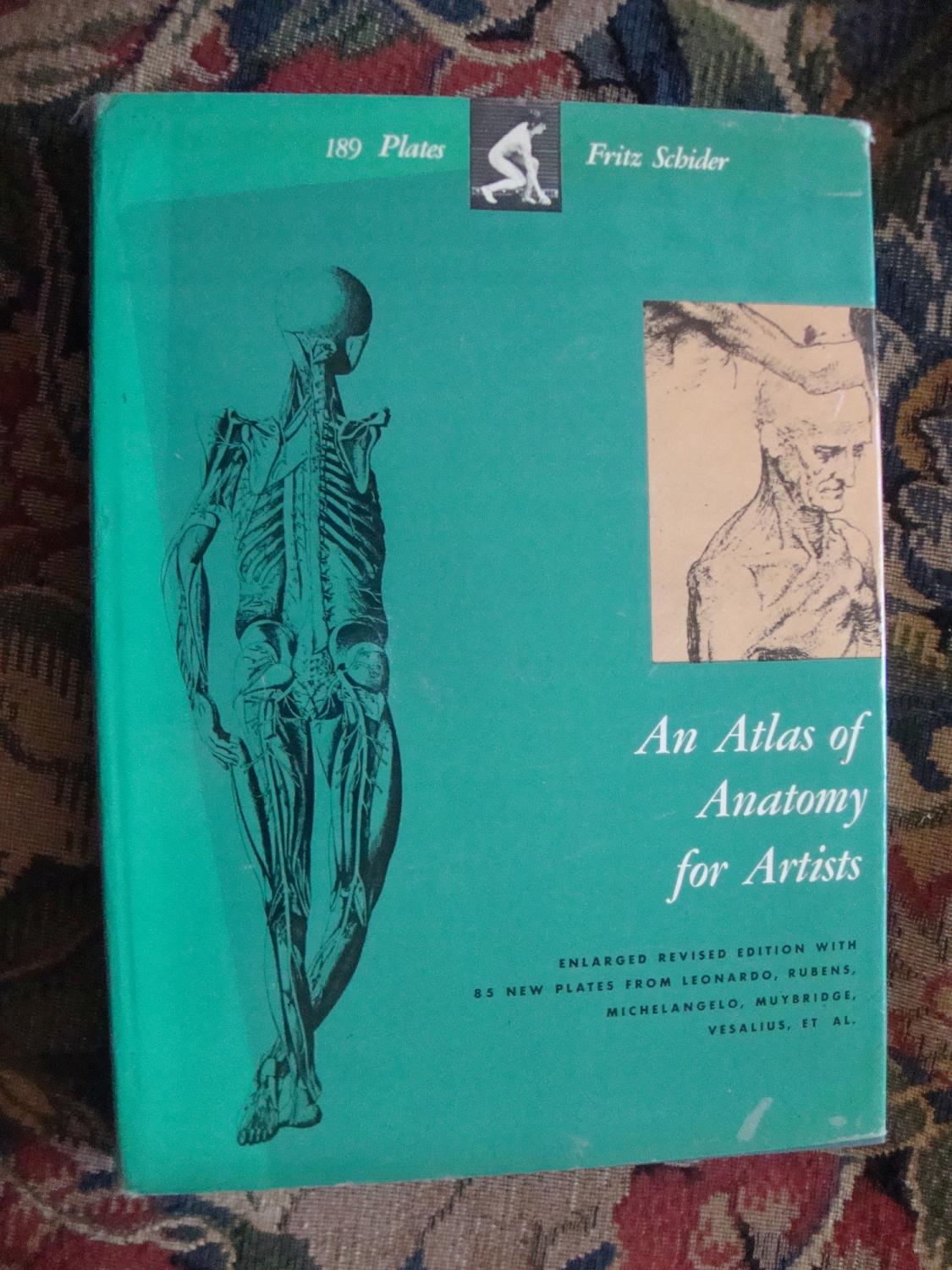 Atlas Anatomy Artists Abebooks