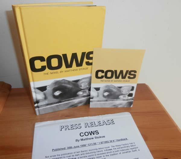 COWS by Stokoe, Matthew Near Fine Hardcover (1998) 1st Edition Kelleher Rare Books