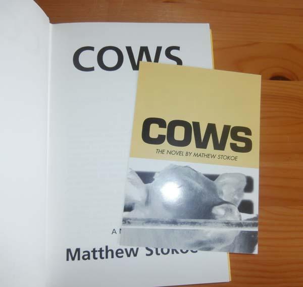 COWS by Stokoe, Matthew Near Fine Hardcover (1998) 1st Edition Kelleher Rare Books