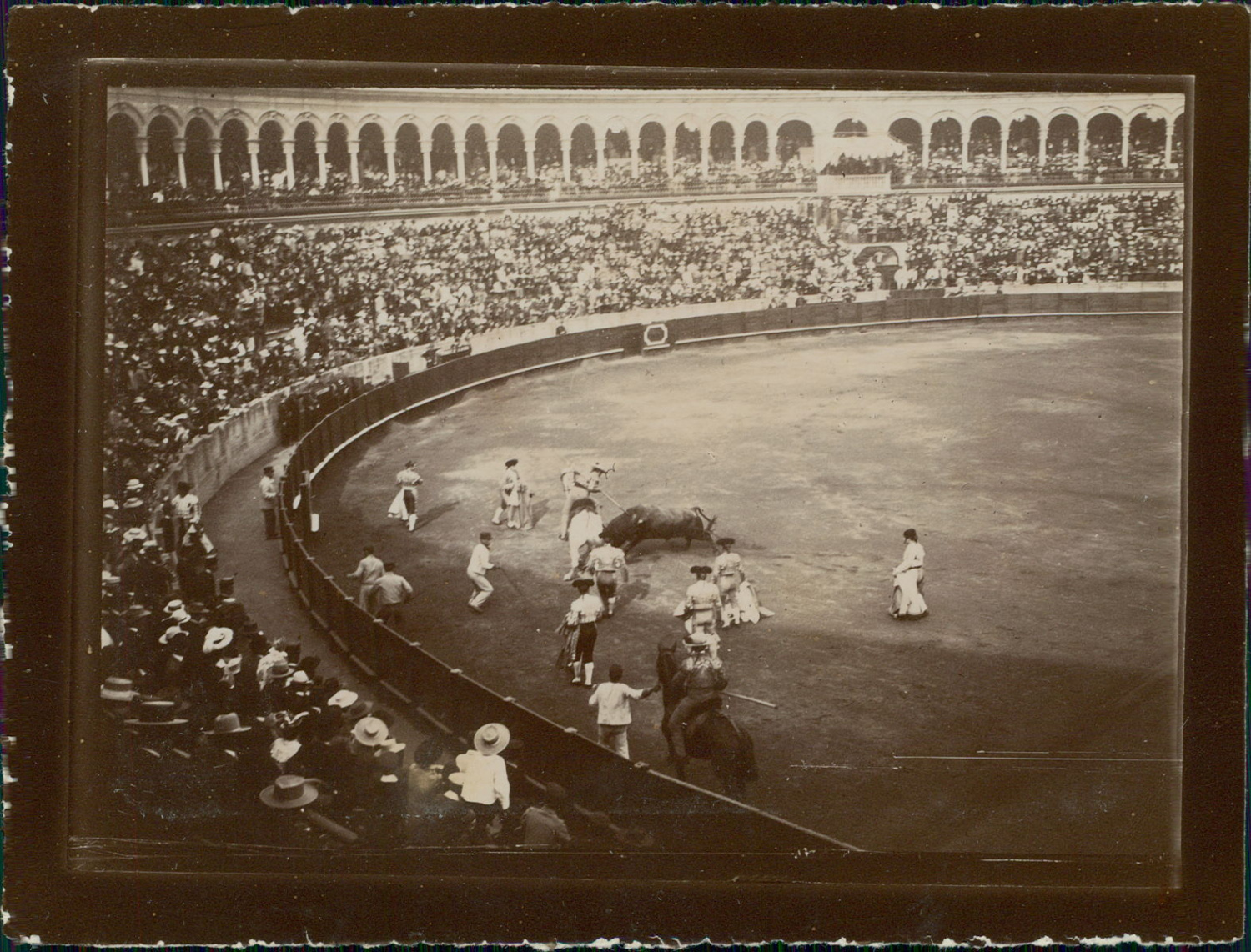 Espagne Seville Sevilla Corrida De Toros By Photographie Originale Original Photograph 1909 Photograph Photovintagefrance Espagne Seville Sevilla Corrida De Toros By Photographie Originale Original Photograph 1909 Photograph Photovintagefrance