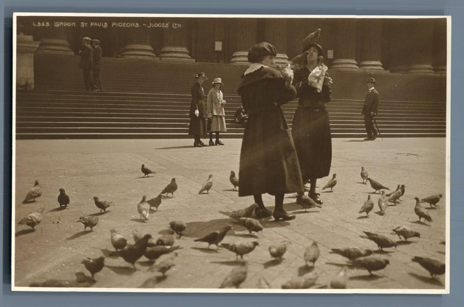 Judges, UK, London, St. Paul's pigeons von Photographie originale
