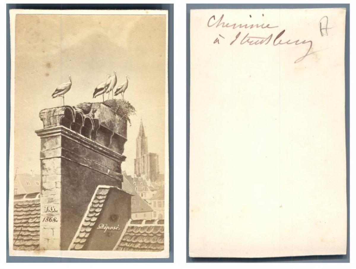 Le Nid des Cigognes sur les toits de Strasbourg Gravure Print 1871 