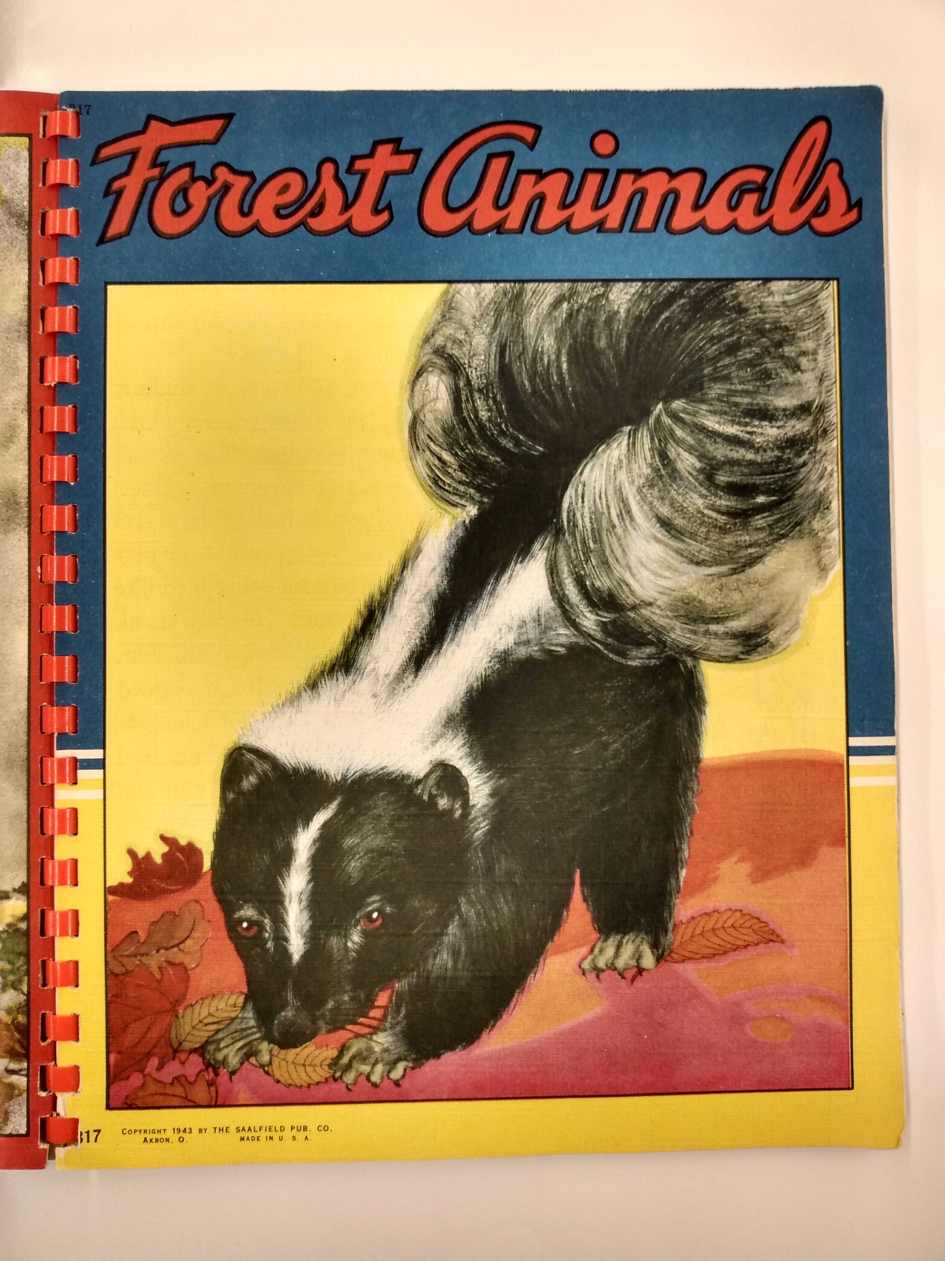Picture Story Book: Our Dogs, Forest Animals,Animal Friends, Kittens and  Cats: Fair Hardcover (1943) | Second Edition Books