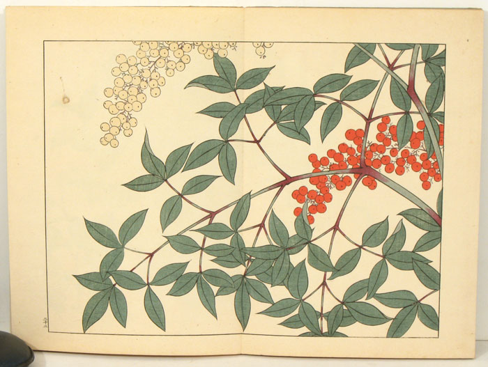 Shiki no Hana ???? Flowers of the Four Seasons). Winter. von JAPAN 