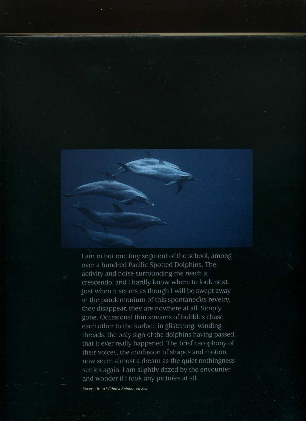 Within a Rainbowed Sea. Portland, Beyond Words Publishing Comp., 1987 ...