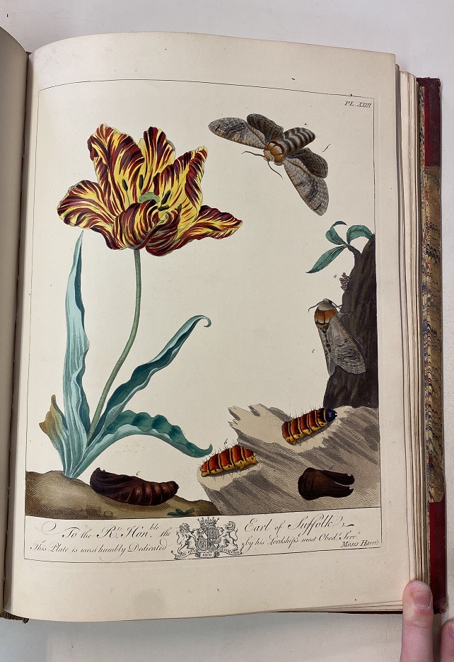 AN ILLUSTRATED NATURAL HISTORY OF BRITISH MOTHS WITH LIFE