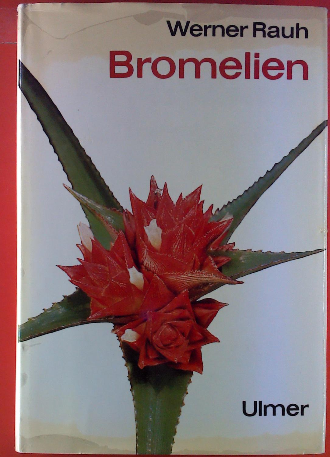 Bromelien für Zimmer und Gewächshaus, Band 2: Die Bromelioideen und Pitcairnioideen - Werner Rauh