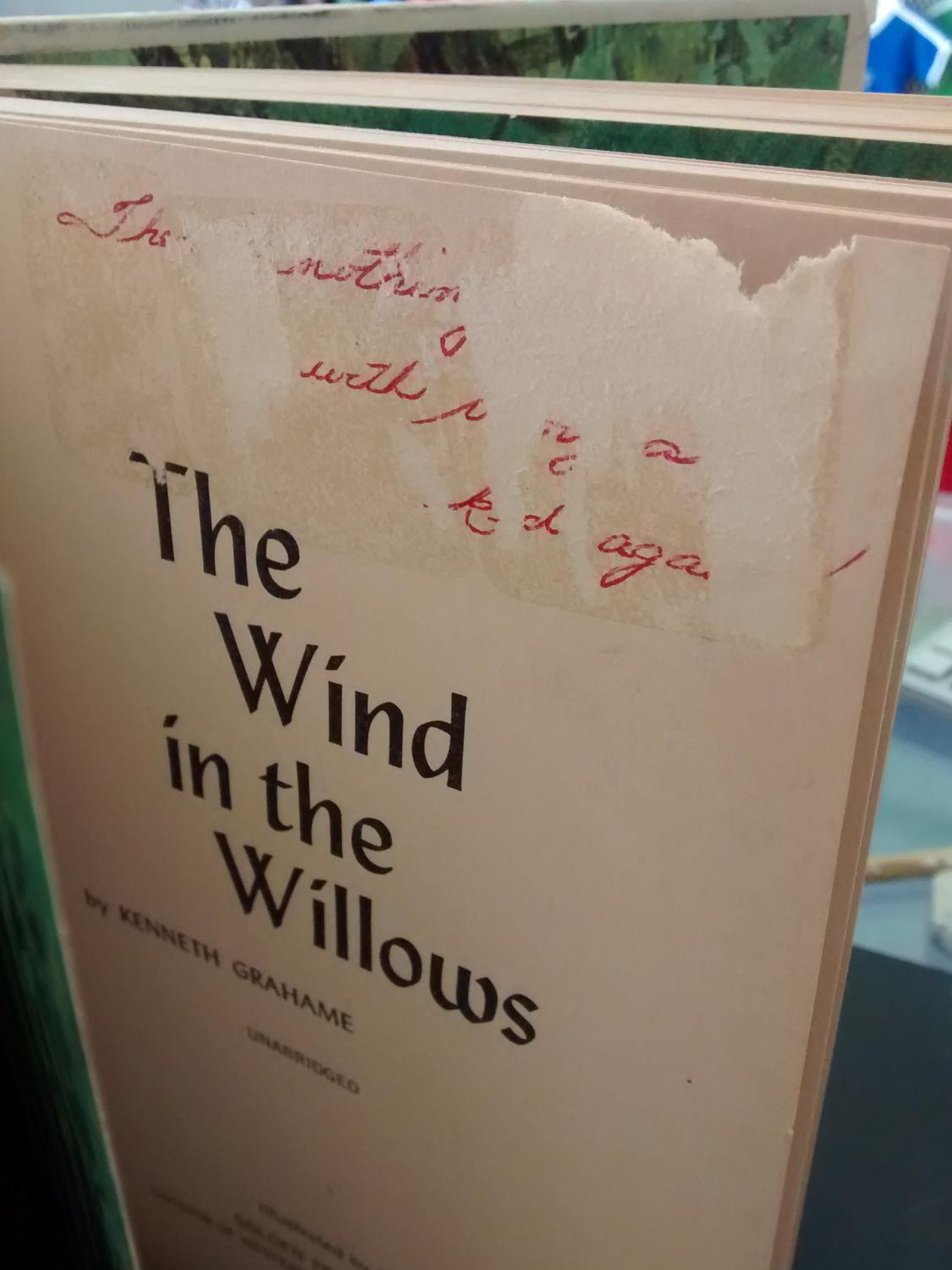 Реферат: The Wind In The Willows By Kenneth