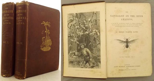 THE NATURALIST ON THE RIVER AMAZONS, A Record of Adventures, Habits of Animals, Sketches of Brazilian and Indian Life, and Aspects of Nature Under the Equator, During Eleven Years of Travel. - Bates, Henry Walter.