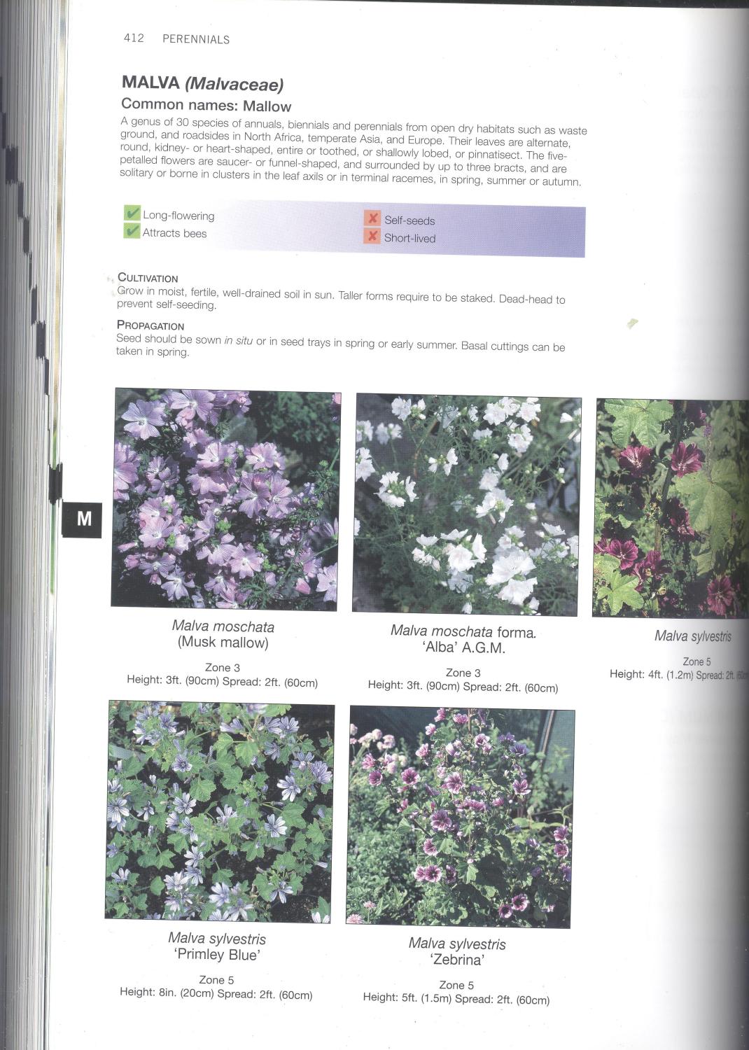 Perennials : the comprehensive guide to over 2700 plants - Craigmyle, Marshall.