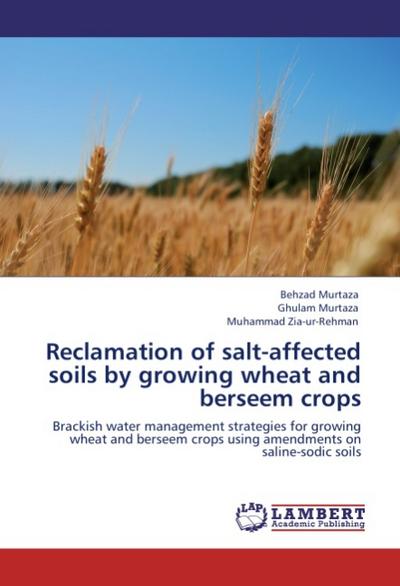 Reclamation of salt-affected soils by growing wheat and berseem crops : Brackish water management strategies for growing wheat and berseem crops using amendments on saline-sodic soils - Behzad Murtaza