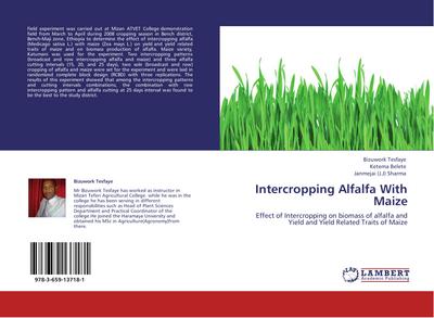 Intercropping Alfalfa With Maize : Effect of Intercropping on biomass of alfalfa and Yield and Yield Related Traits of Maize - Bizuwork Tesfaye