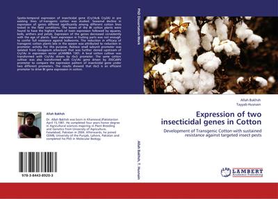 Expression of two insecticidal genes in Cotton : Development of Transgenic Cotton with sustained resistance against targeted insect pests - Allah Bakhsh