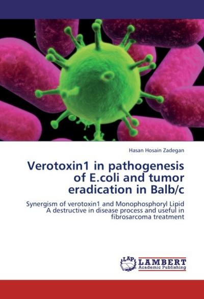 Verotoxin1 in pathogenesis of E.coli and tumor eradication in Balb/c : Synergism of verotoxin1 and Monophosphoryl Lipid A destructive in disease process and useful in fibrosarcoma treatment - Hasan Hosain Zadegan