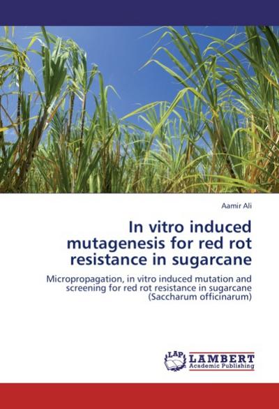 In vitro induced mutagenesis for red rot resistance in sugarcane : Micropropagation, in vitro induced mutation and screening for red rot resistance in sugarcane (Saccharum officinarum) - Aamir Ali