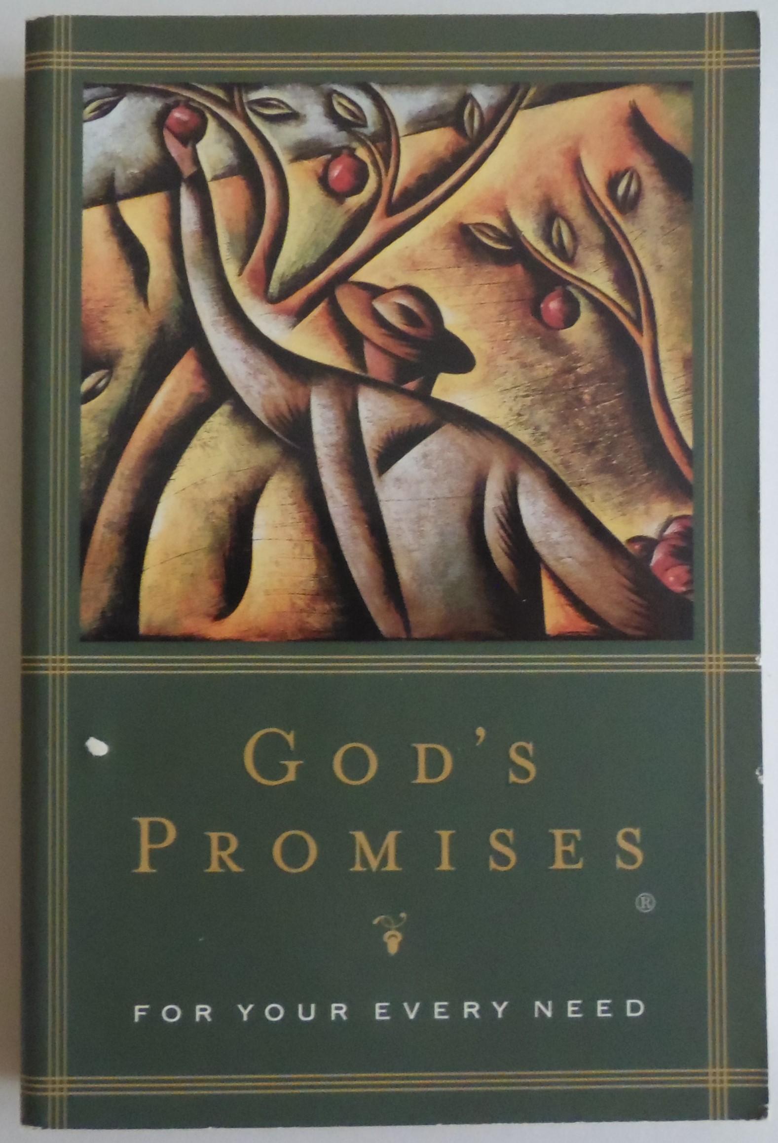 God's Promise for Every Need [Paperback] by Na - Countryman, Jack