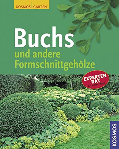 Buchs Und andere Formschnittgehölze - Katharina, Adams