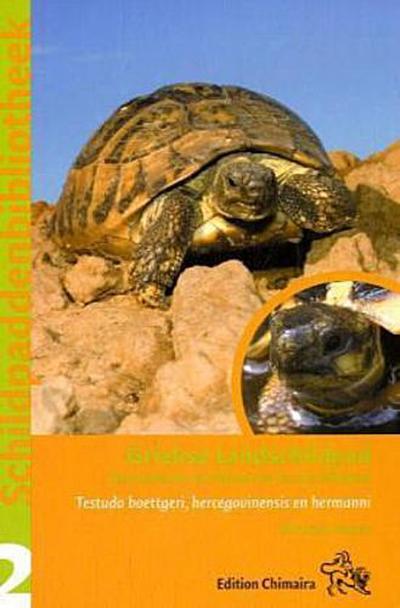 Griekse Landschildpad : Testudo boettgeri, hercegovinensis en hermanni. Mit e. Vorw. v. Andreas Nöllert - Holger Vetter