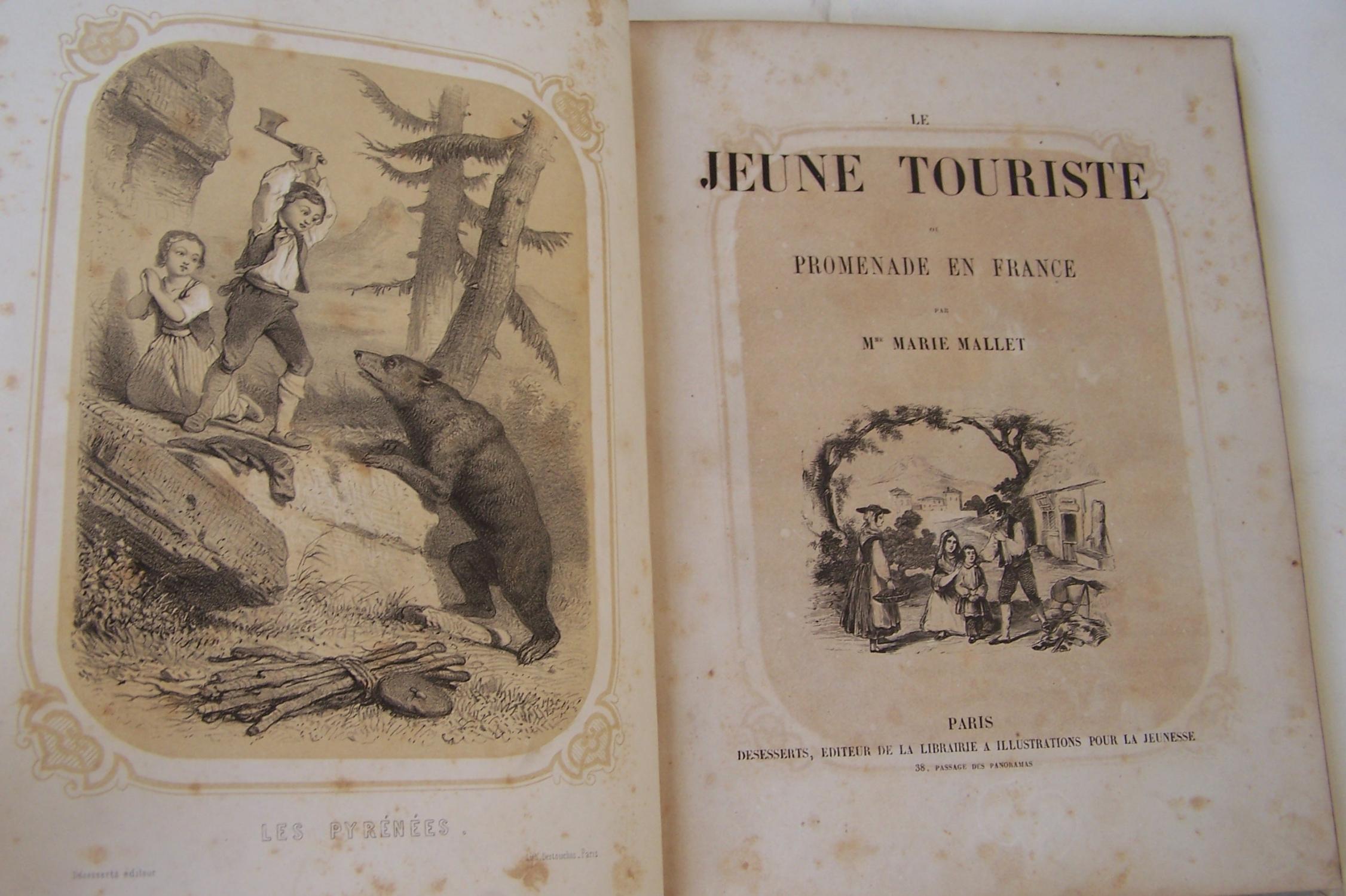 Le Jeune Touriste, ou Promenade en France. by Mallet, Marie: VG+ Paper ...