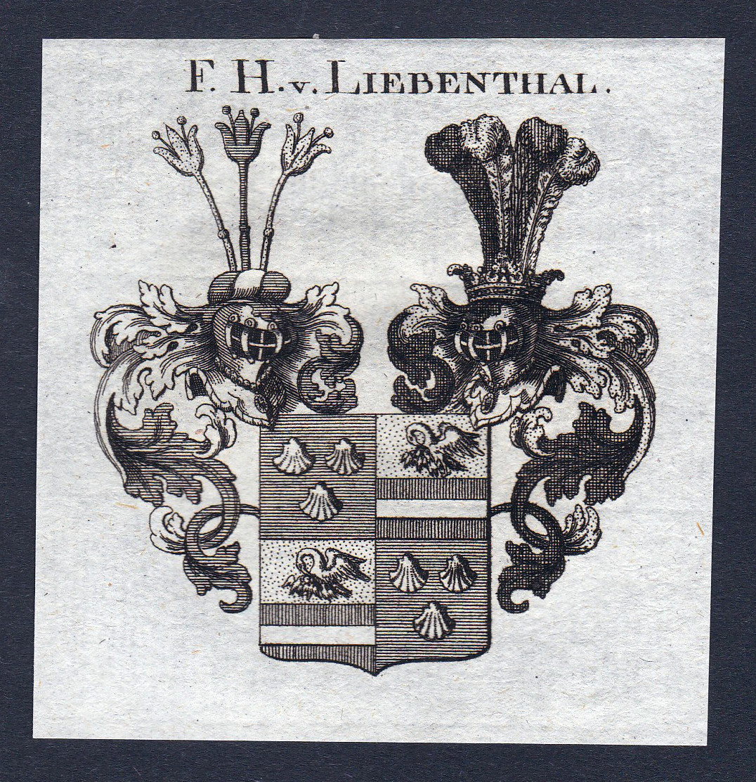 F.H. v. Liebenthal" Liebenthal Wappen Adel coat of arms Kupferstich