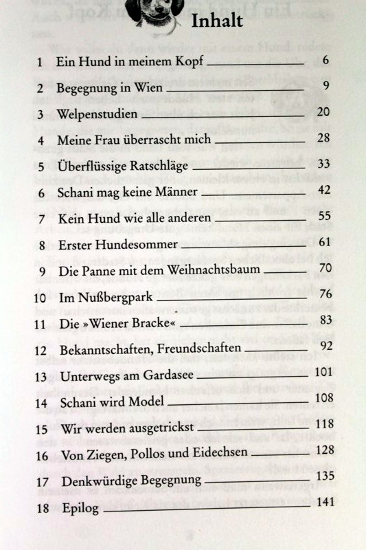 Liebeserklärung An Meinen Hund