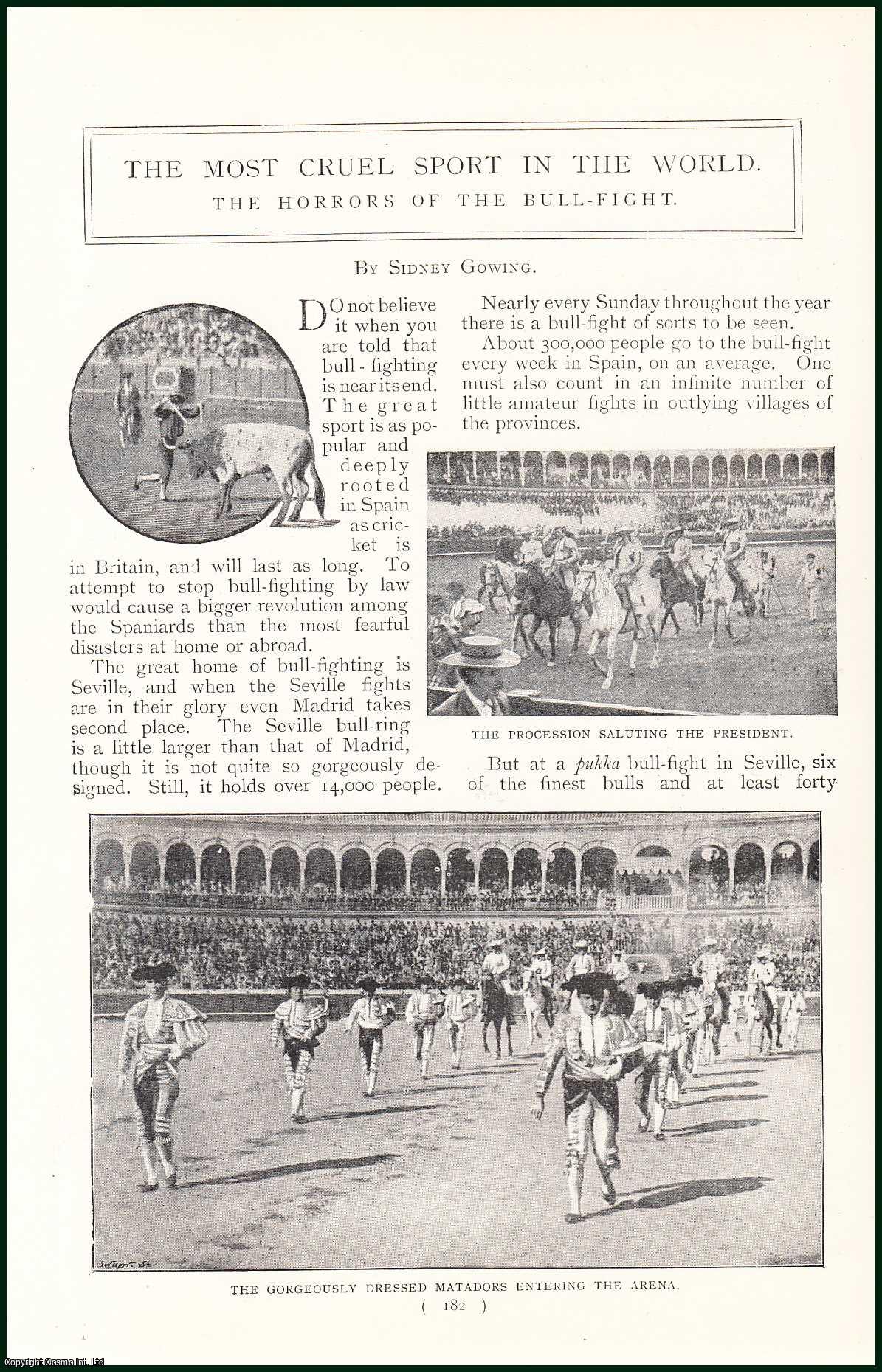 The Horrors Of The Bull-Fight in Spain The Most Cruel Sport In The World. An uncommon original article from the Harmsworth London Magazine, 1898