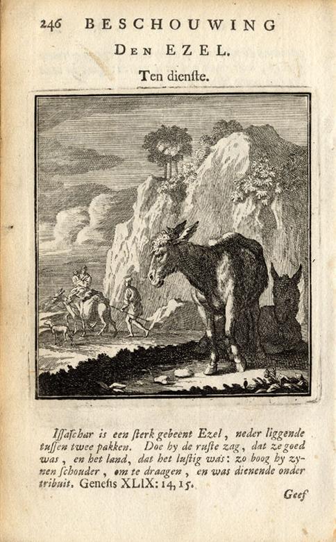Antique Print-DONKEY-MULE-Luiken-1725 [ ]