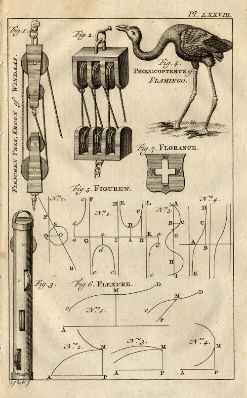 Antique Print-CORKSCREW-BENDING-FLAMINGO-Buys-1770 [ ]