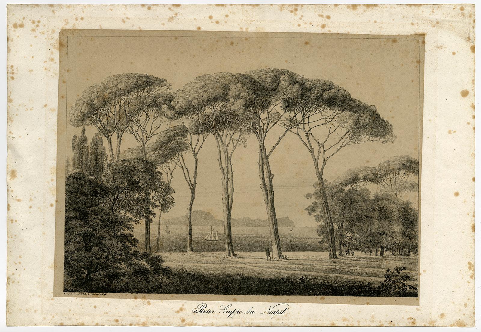 Antique Master Prints-LANDSCAPE-UMBRELLA PINE TREES-NAPLES-Monogram W.H ...