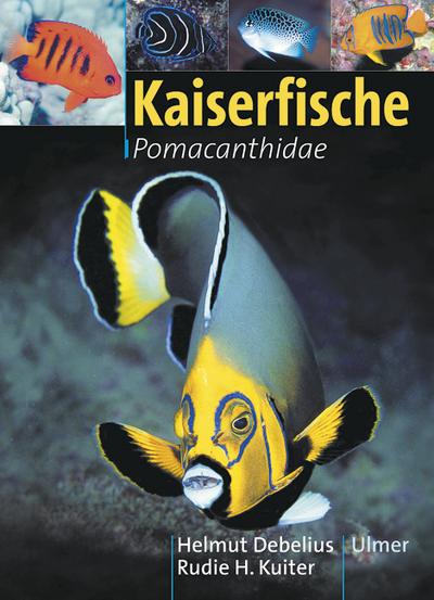 Kaiserfische: Pomacanthidae : Pomacanthidae - Helmut Debelius, Rudie H Kuiter