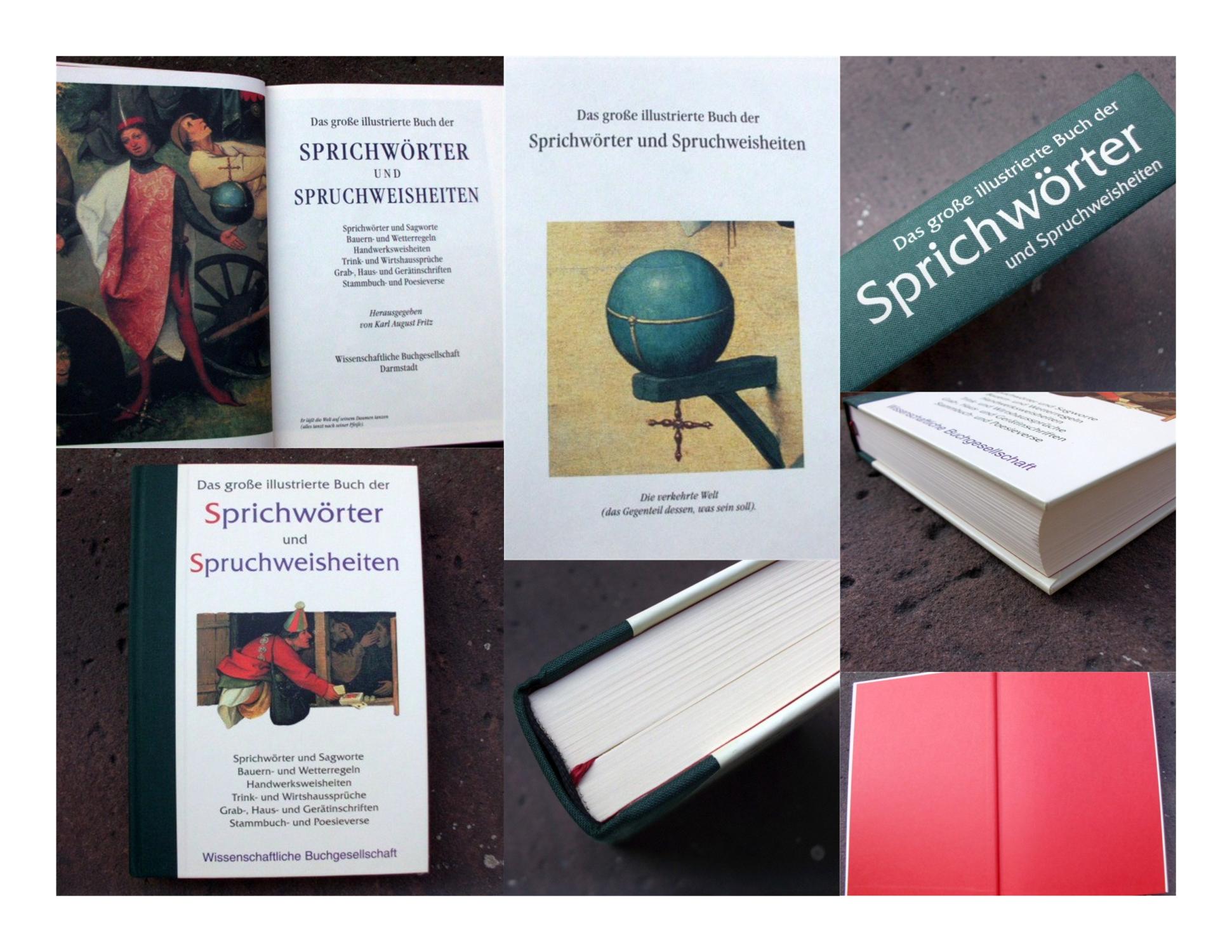 Das große illustrierte Buch der Sprichwörter und Spruchweisheiten