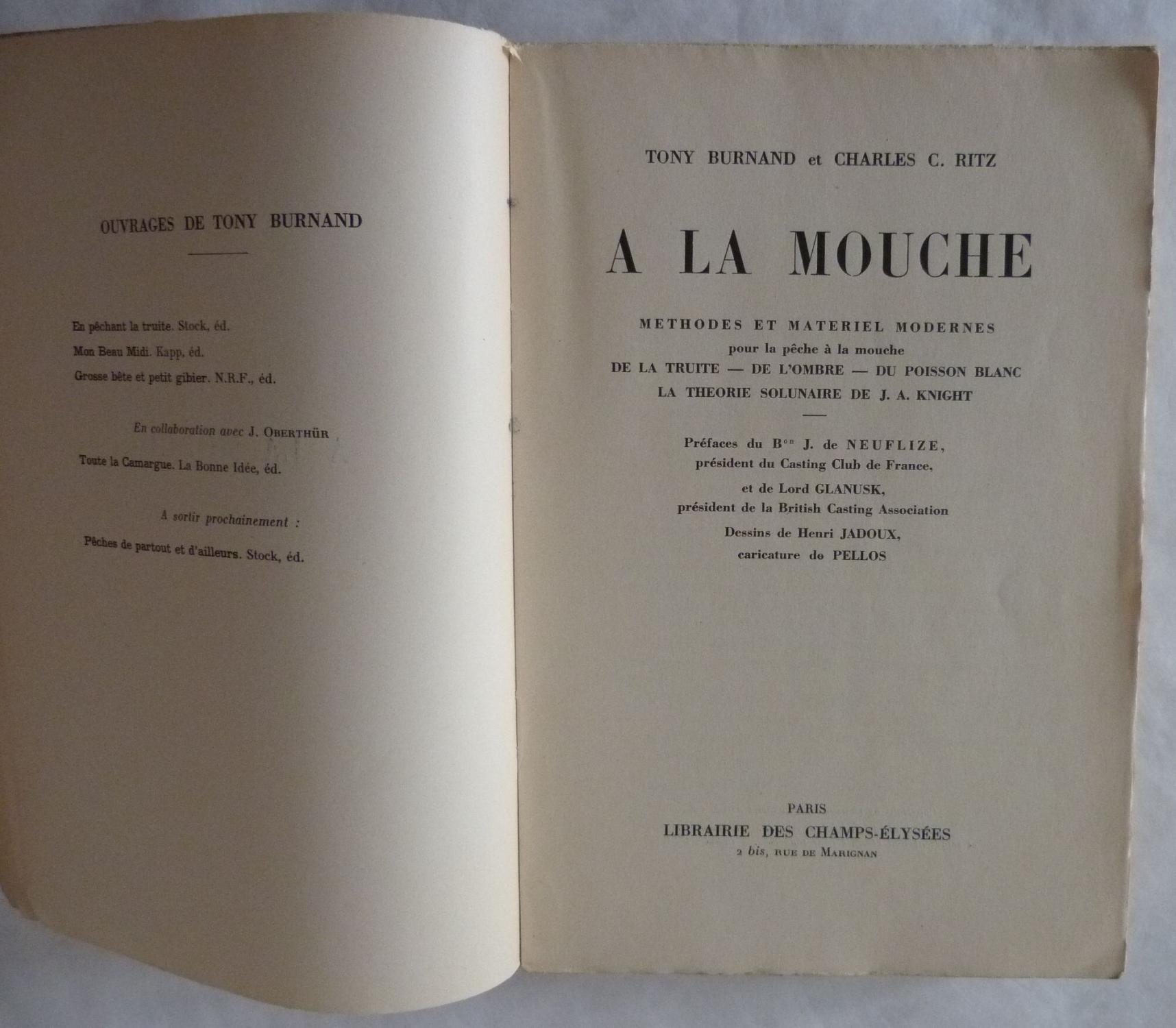Don Quichotte Et Sancho Panza. Illustration Par Gustave Dore De Don Quichotte 48907564