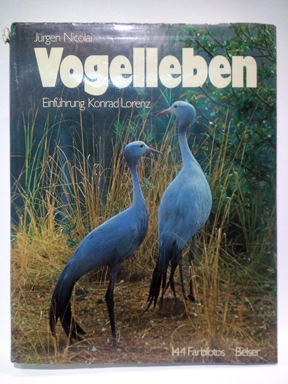 Vogelleben / Einführung von Konrad Lorenz - NICOLAI, Jürgen