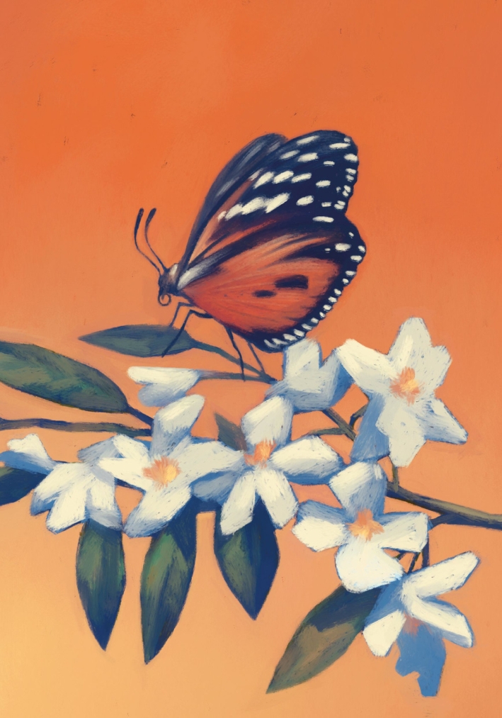 Fuad delle farfalle - Ugolini Lina Maria