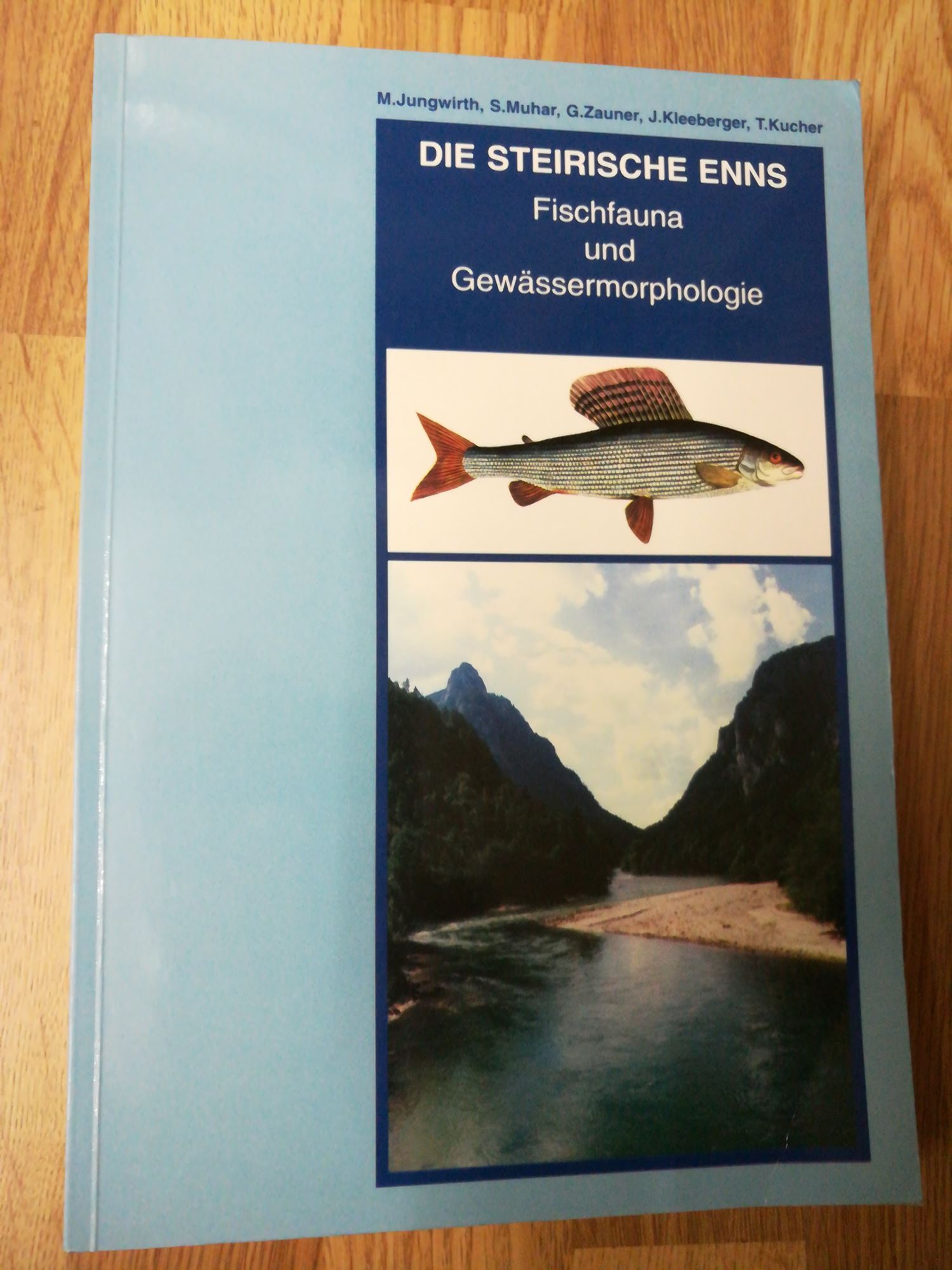 Die steirische Enns / Fischfauna und Gewässermorphologie - Jungwirth, Mathias / Muhar, Susanne u.a.