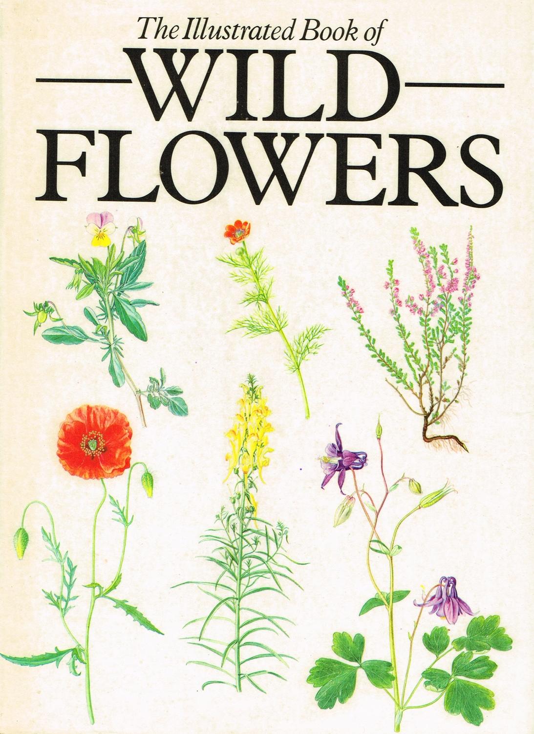 The Illustrated Book Of Wild Flowers by Zdenka Prodhajska