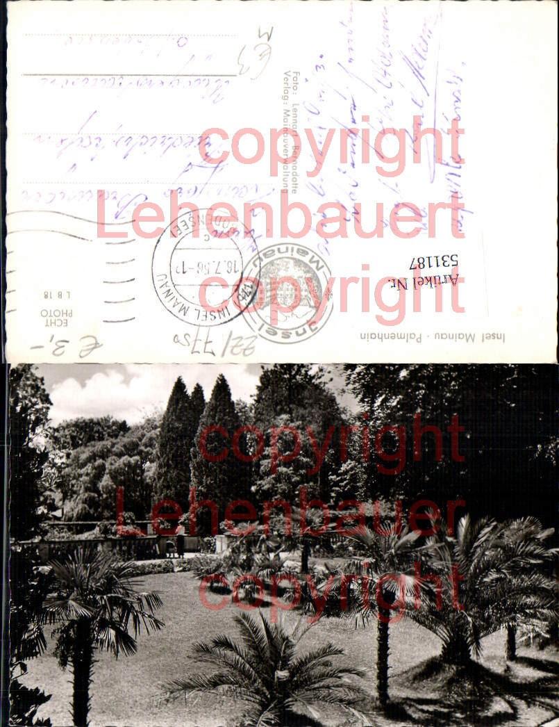 531187,Insel Mainau im Bodensee Konstanz Palmen garten Manuskript
