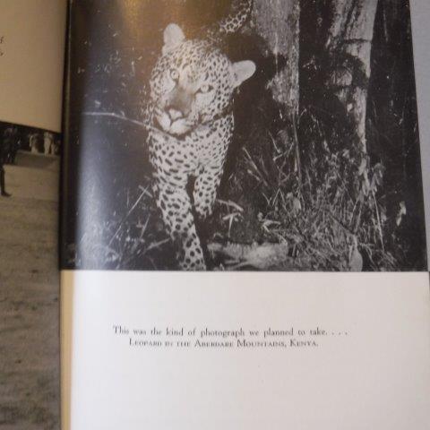 In The Forests Of The Night By Riddell James Very Good Hardcover 1948 First Edition Old Scrolls Book Shop In The Forests Of The Night By Riddell James Very Good Hardcover 1948 First Edition Old Scrolls Book Shop