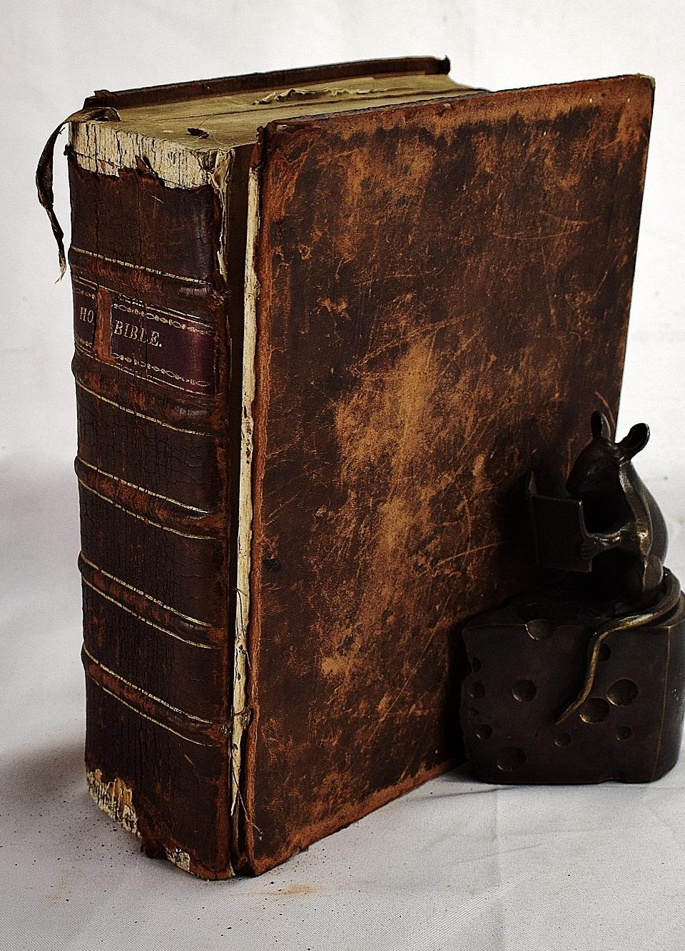 The Holy Bible Containing the Old and New Testaments, together with the Apocrypha Translated