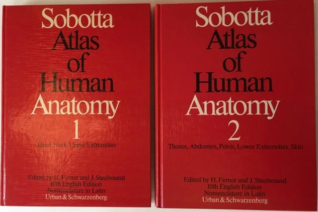 Sobotta Atlas of Human Anatomy. Vol. I & Vol. II. - Ferner, Helmut / Staubesand, Jochen (ed.)